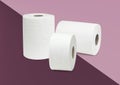 A pair of white paper towel roll. Royalty Free Stock Photo