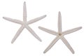 Pair of White Starfish