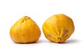 Pair of whole ugli fruit