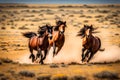 A pair of wild horses Royalty Free Stock Photo