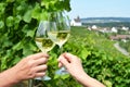 Pair of wineglasses against vineyards