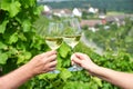 Pair of wineglasses Royalty Free Stock Photo