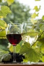 Pair of wineglasses and bunch of grapes Royalty Free Stock Photo