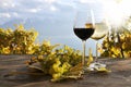 Pair of wineglasses and bunch of grapes Royalty Free Stock Photo