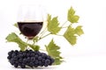 Pair of wineglasses and bunch of grapes Royalty Free Stock Photo