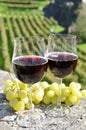 Pair of wineglasses and grapes Royalty Free Stock Photo