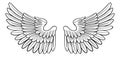 Wings Angel or Eagle Pair