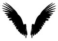 Pair of wings silhouette