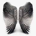 a pair of wings with a white background and a black and white photo of an owl\'s wing pattern on the