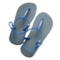 Pair of gray and blue slippers isolated