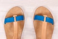 Pair of womanly leather sandals, footwear for holiday concept