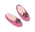 Pair of women closed winter slippers with fur. Cozy home shoes decorated with flower. Comfy female footwear. Colored