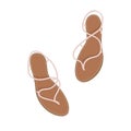 Pair of women`s brown sandals