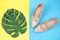 A pair of women`s shoes in beige boats on a yellow and blue background. Fashionable shoes. Monstera sheet. Elegant shoes. View Royalty Free Stock Photo