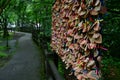 wooden shoes that are tied to trees on the side of a street Royalty Free Stock Photo