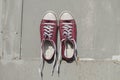 Pair of worn sneakers Royalty Free Stock Photo