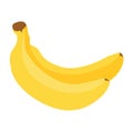 Pair of yellow bananas, tropical healthy fruit in flat style for design