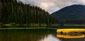 A pair of yellow canoes rest in the early morning on the lake