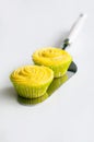 Pair of yellow cupcakes on cake shovel Royalty Free Stock Photo