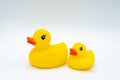 Pair of yellow ducks with red beaks baby bath toy isolated on white background Royalty Free Stock Photo