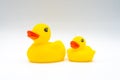 Pair of yellow ducks with red beaks baby bath toy isolated on white background Royalty Free Stock Photo