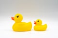 Pair of yellow ducks with red beaks baby bath toy isolated on white background Royalty Free Stock Photo