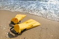 Pair of yellow flippers on sand near sea. Space for text Royalty Free Stock Photo