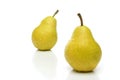A pair of yellow pears Royalty Free Stock Photo