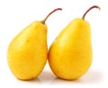 Pair of yellow ripe, juicy pears. On a white background. Royalty Free Stock Photo
