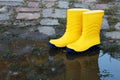 Pair of yellow rubber boots