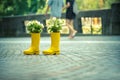 A pair of yellow rubber boots in the middle of a street in which flowers grow Royalty Free Stock Photo