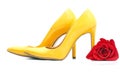 A pair yellow of  women`s heel shoes with red rose isolated on white background Royalty Free Stock Photo