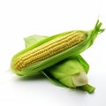 Organic Corn On Cob: A Captivating Photo In The Style Of Jan Van Scorel