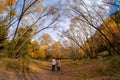 A pair of young couple walking down a track surrounded with beautiful autumn trees Royalty Free Stock Photo