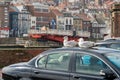 A pair of young seagulls sit on the warm roof of a car near the harbour,Whitby, North Yorkshire, UK. Royalty Free Stock Photo