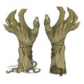 Pair of zombie hands rising from the ground and torn apart. Royalty Free Stock Photo