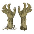 Pair of zombie hands rising from the ground and torn apart.