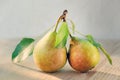 Paired fruit - two pears on one stalk with leaves. With drops of water, lit by the sun on a wooden background.