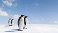 Pairs of emperor penguins Royalty Free Stock Photo