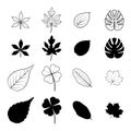 8 pairs leaf sketch and silhouette