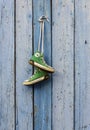 Pairs of old textile green classic sneakers hang on a cord Royalty Free Stock Photo