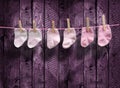 3 pairs pink socks on the clothesline Royalty Free Stock Photo