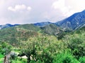 Paisaje de la sierra de PerÃÂº. landscape of the sierra of Peru. Royalty Free Stock Photo