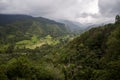 Paisaje del eje cafetero en Salento, colombia.