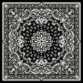 Paisley Bandana print Royalty Free Stock Photo