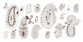 Paisley elements kit. Vector hand drawn doodle style collection illustration isolated on white background Royalty Free Stock Photo