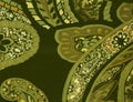 Paisley green pattern textile.