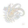 Paisley isolated. Card with paisley isolated for design. Paisley vector pattern Royalty Free Stock Photo