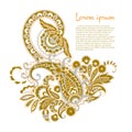 Paisley isolated. Card with paisley isolated for design. Floral vector pattern. Embroidery floral vector pattern. Royalty Free Stock Photo