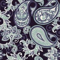 Paisley seamless pattern. floral vector background. Royalty Free Stock Photo